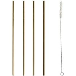 Gusta Rvs Rietjes + Borstel Goud 4 Stuks