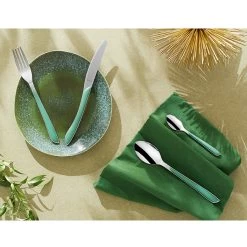 Amefa Bestekset Eclat 24 Delig Green -NL-Keuken Koning 102 3823 3 1
