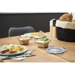 Tefal Masterseal RVS Vershouddoos Vierkant 0.2 L -NL-Keuken Koning 104 0810 3 1