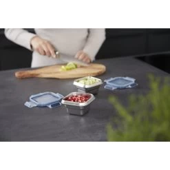 Tefal Masterseal RVS Vershouddoos Vierkant 0.2 L -NL-Keuken Koning 104 0810 6 1